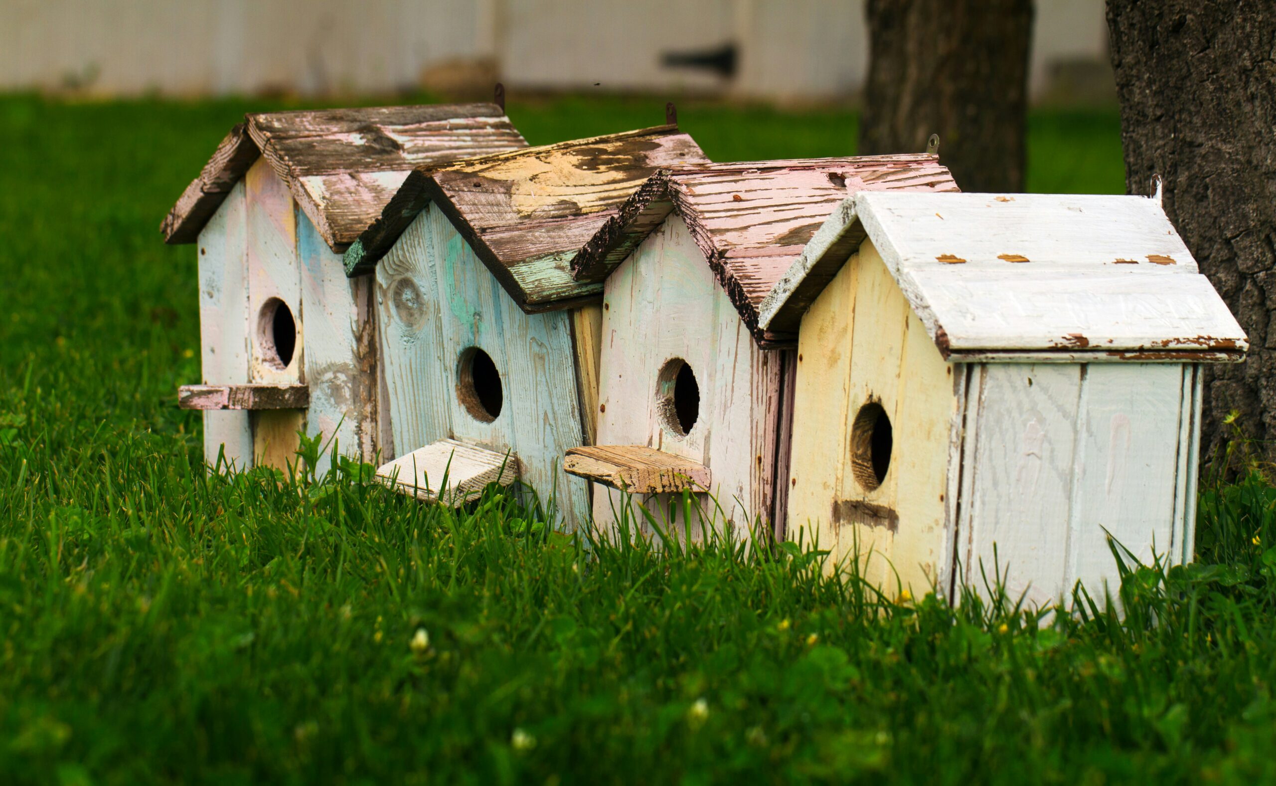 Diy Een Nestkastje Maken Voor Vogels Doe Je In Het Najaar