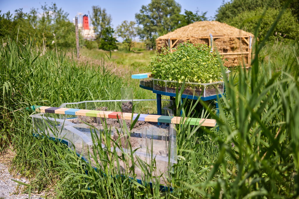 Regeneratie - Re_Nature Ruigoord