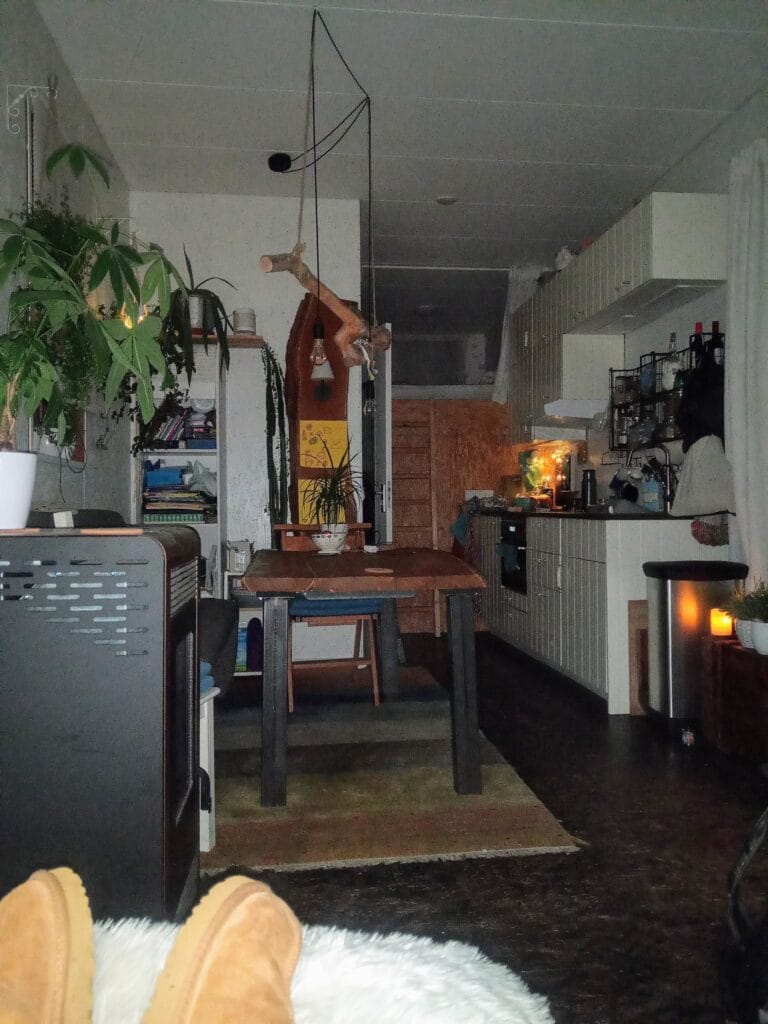 Zelfvoorzienend Tiny House Haarlem