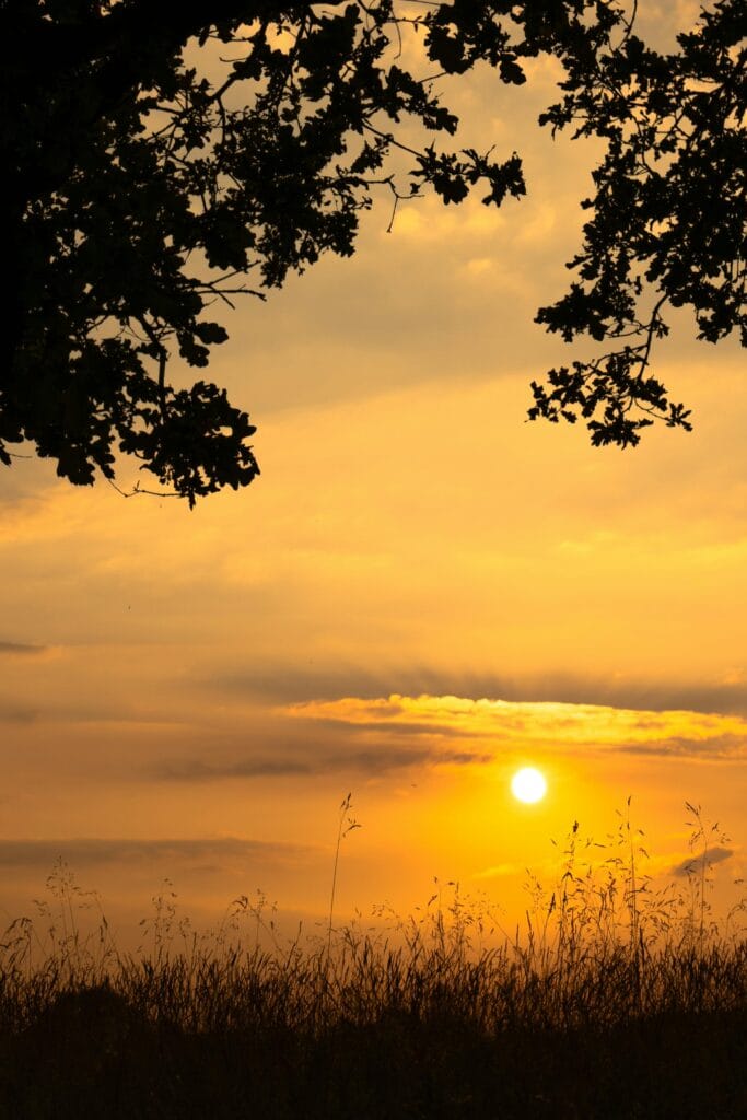 Zonnepanelen: hoe interessant zijn ze nog? 3 Pexels Matthiasgroeneveld 20888267