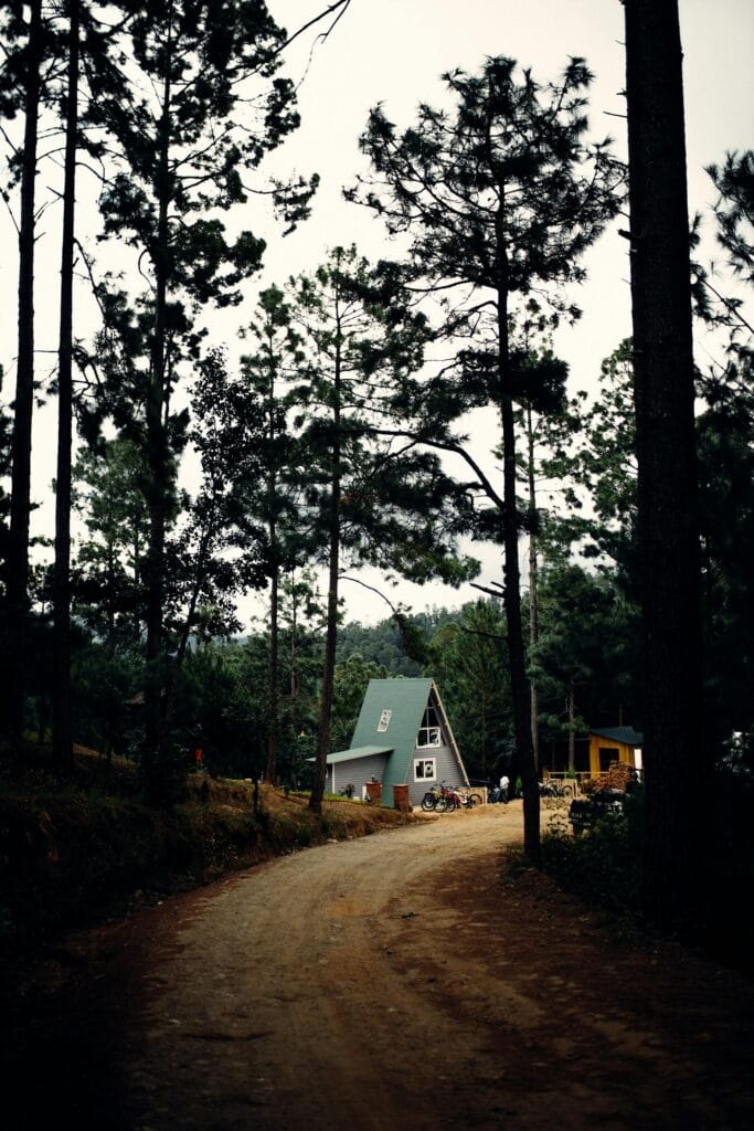 Groen Dak 