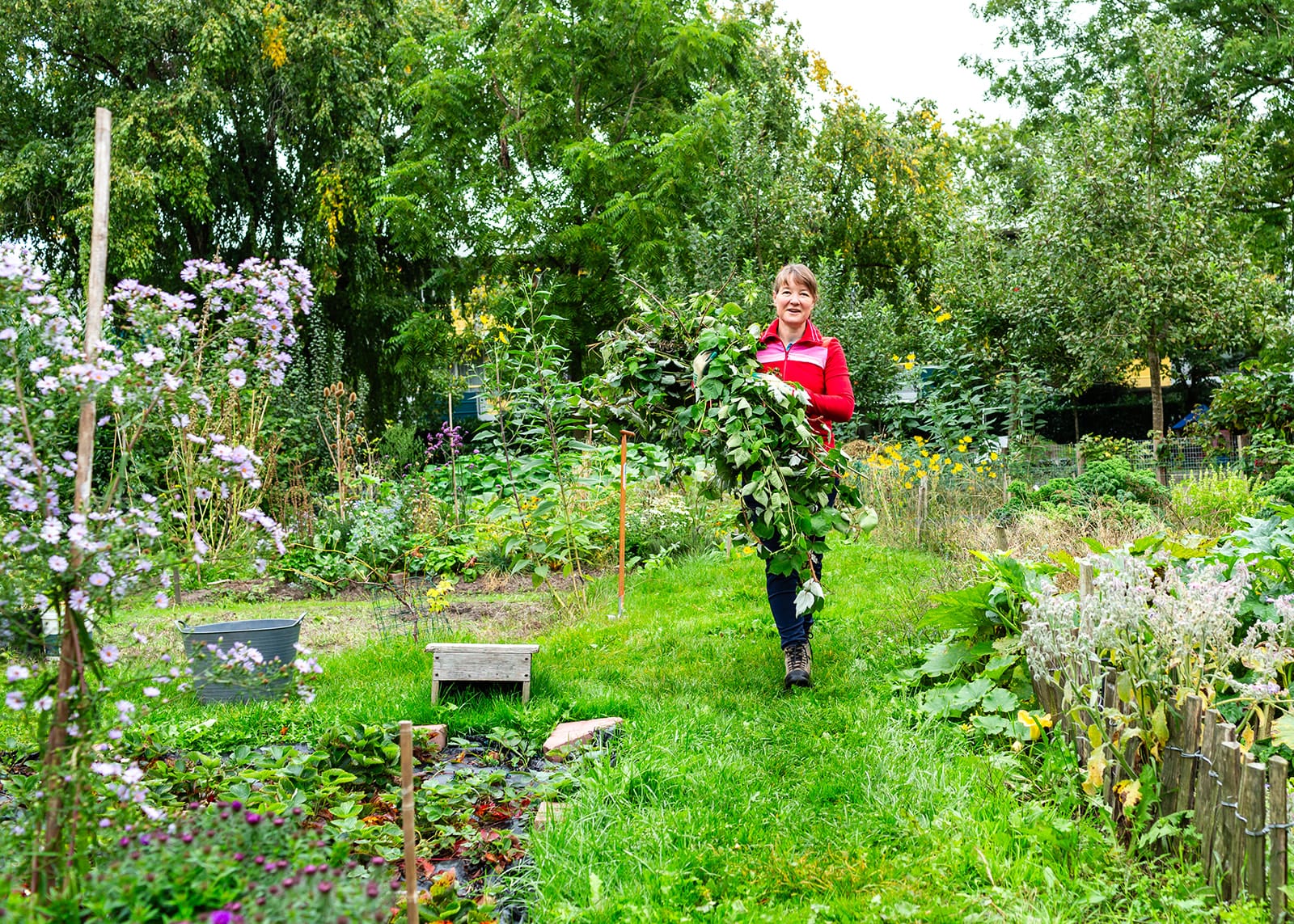 Groene Tuincoach