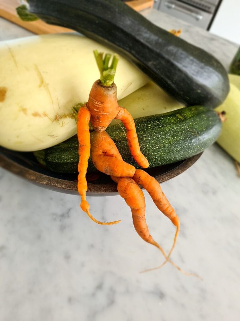 Jon Scobey en zijn gezin leven van hun eigen moestuin in Almere Oosterwold 4 John Scobey En Zijn Gezin Leven Uit Hun Eigen Moestuin In Almere