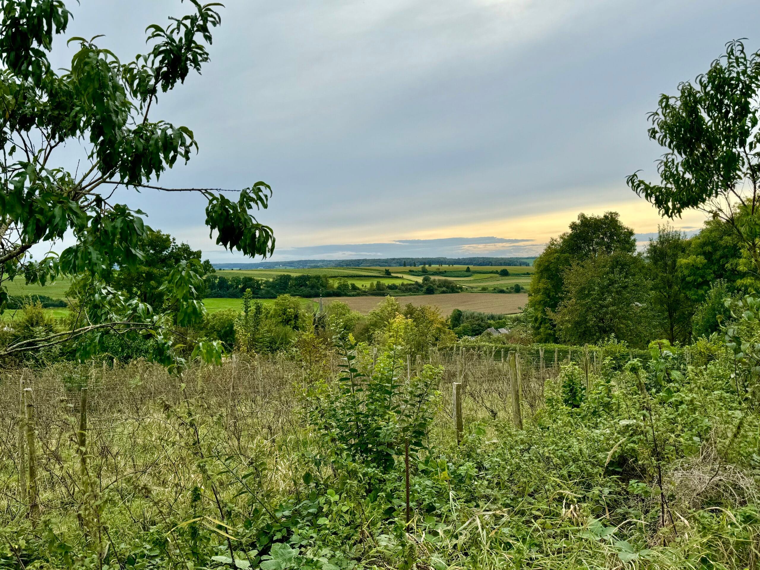 Zuid-Limburg