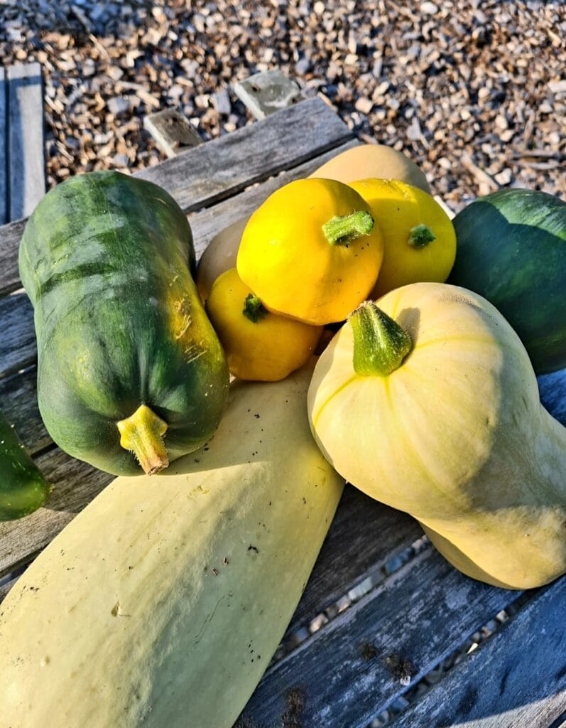 Jon Scobey en zijn gezin leven van hun eigen moestuin in Almere Oosterwold 12 John Scobey En Zijn Gezin Leven Uit Hun Eigen Moestuin In Almere