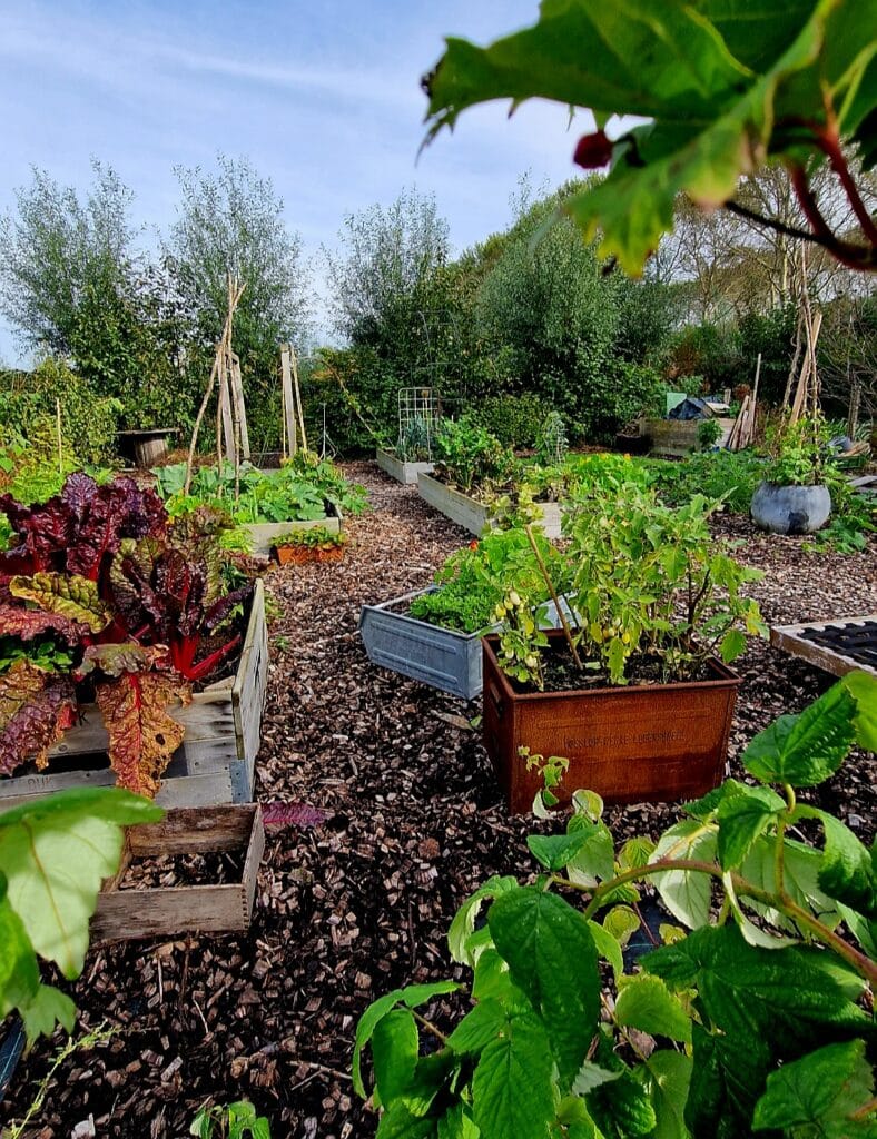 Jon Scobey en zijn gezin leven van hun eigen moestuin in Almere Oosterwold 8 John Scobey En Zijn Gezin Leven Uit Hun Eigen Moestuin In Almere