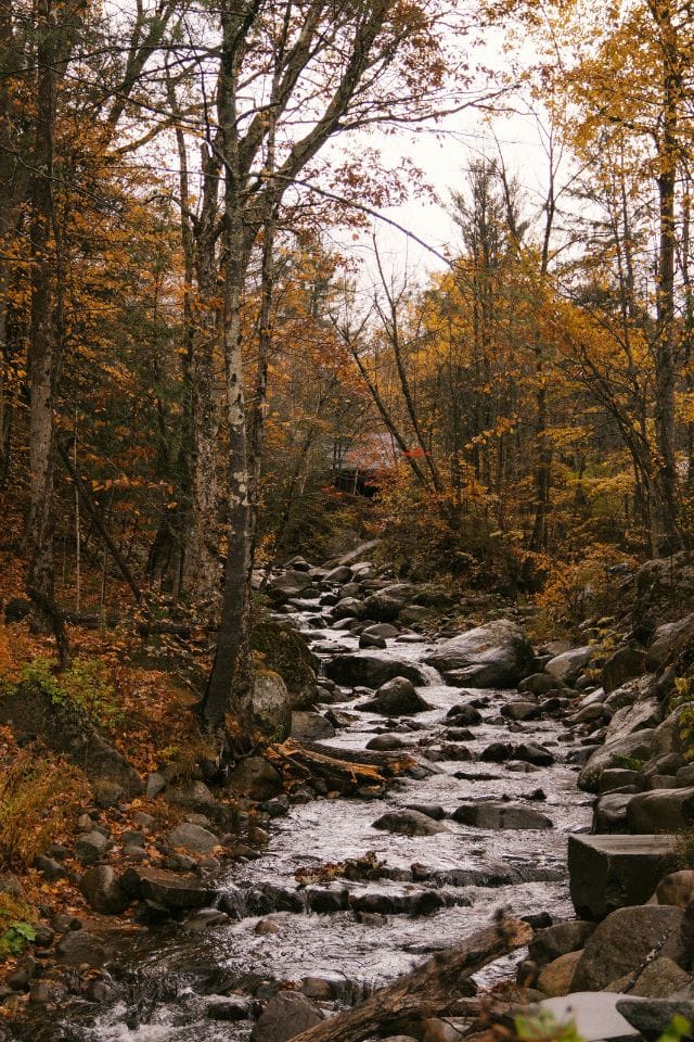 Wil jij ook graag een duurzame uitvaart? 2 Duurzame Uitvaart