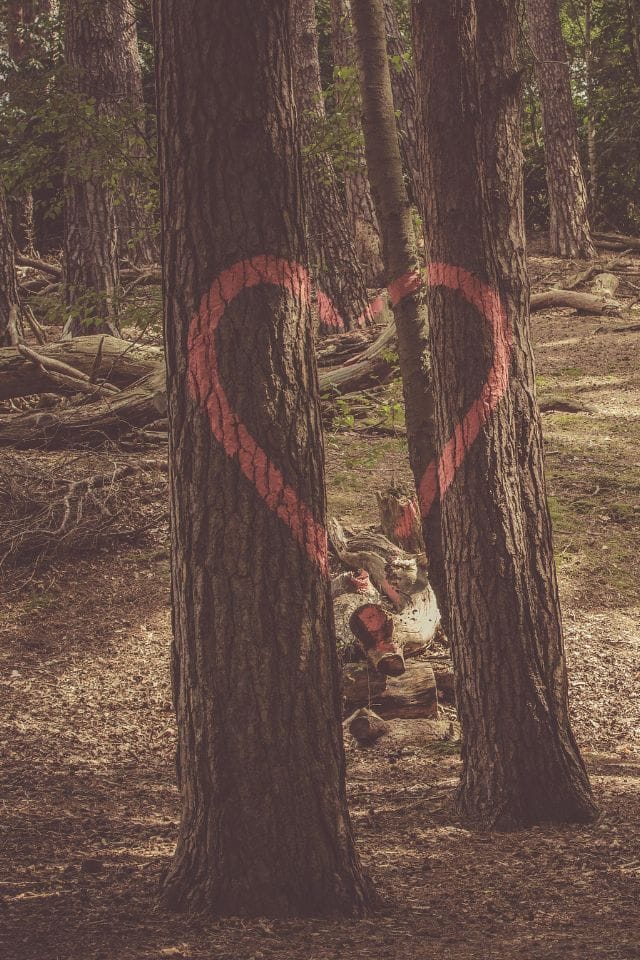 Wil jij ook graag een duurzame uitvaart? 4 Ontwerp Zonder Titel 5