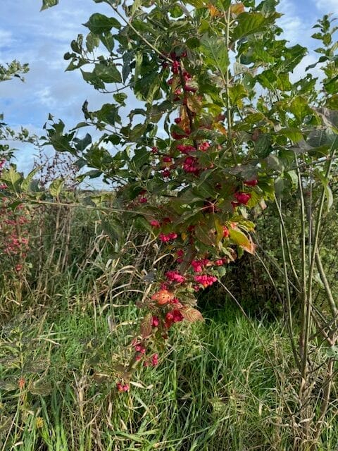 Natuurboerderij Hei15