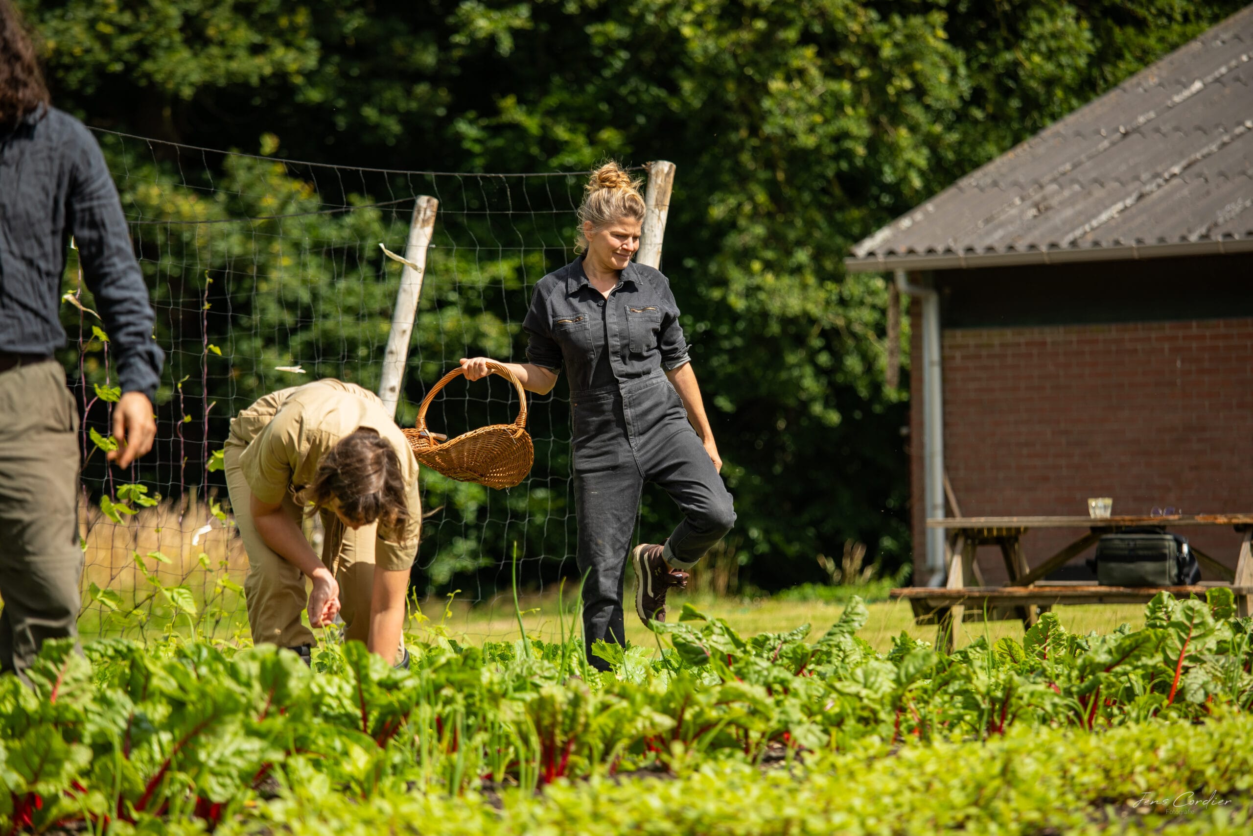 Lenteland 'T Gagel