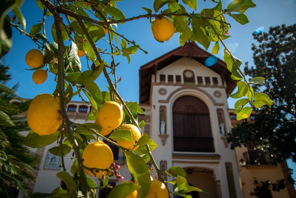 Deze Plekken In Valencia Ken Je Nog Niet: 7 Tips Van Een Local