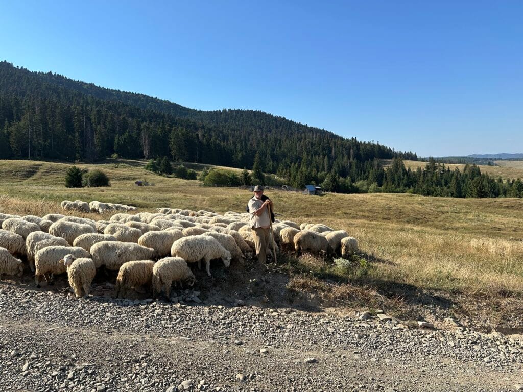 Met De Trein Naar Roemenië: Een Duurzame Reis Vol Afwisseling En Avontuur