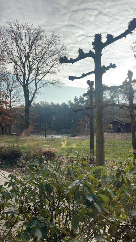 Dit zijn de leukste boscafé's in Nederland 4 Boscafé'S