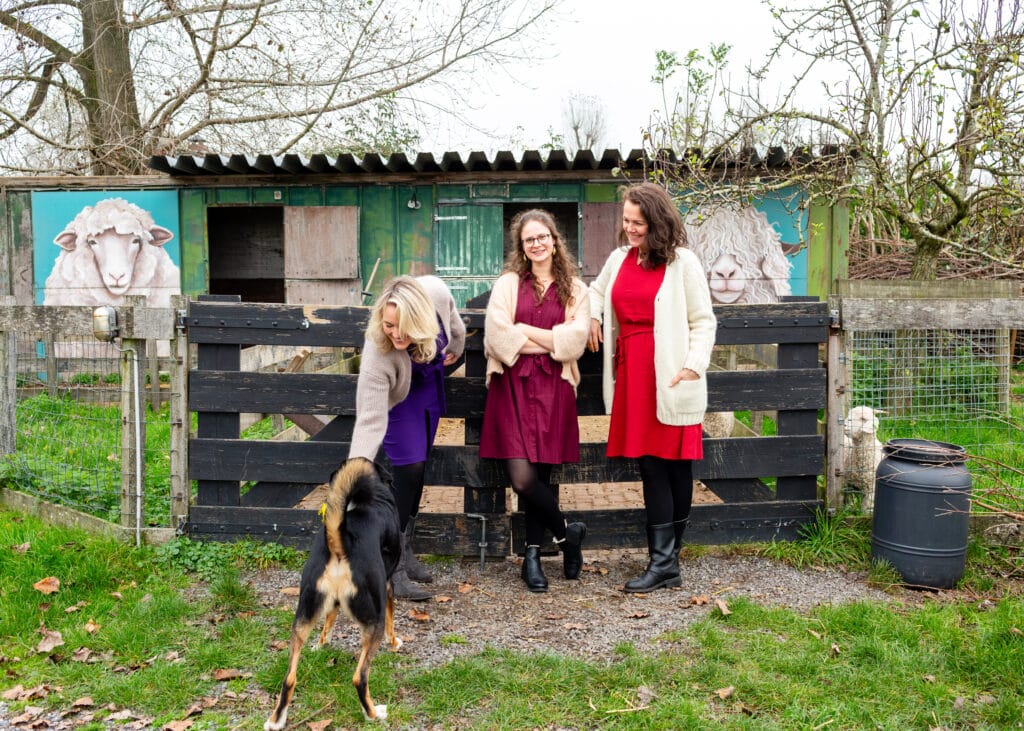 Product Environmental Footprint - Knitwit Stable