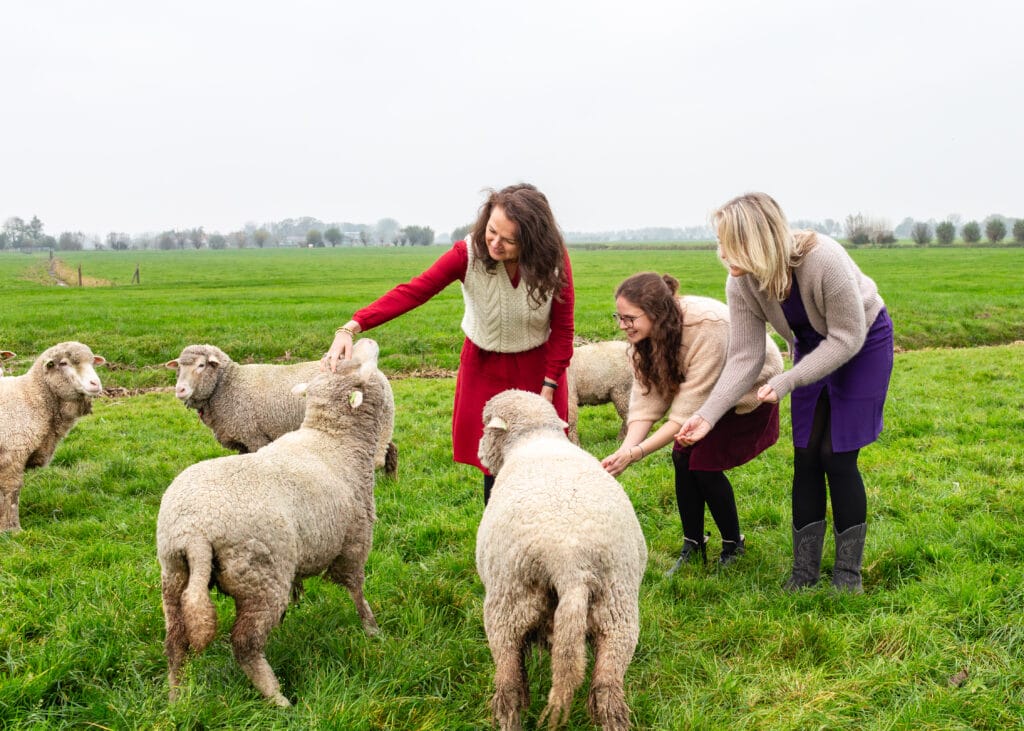 Product Environmental Footprint - Knitwit Stable