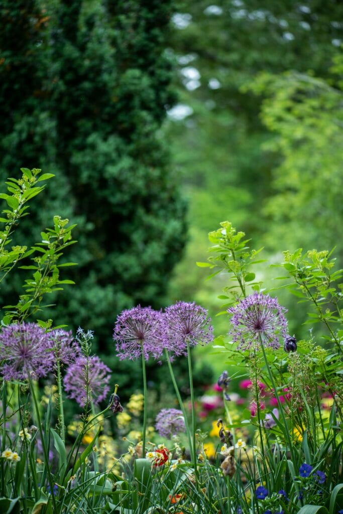 Hoe Lang Blijven Pesticiden Op Tuinplanten Zitten?