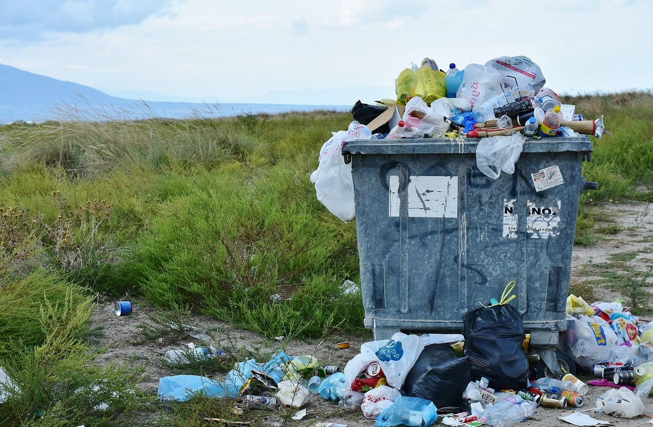 Bioplastic Is Minder Duurzaam Dan Je Denkt. Dit Is Waarom