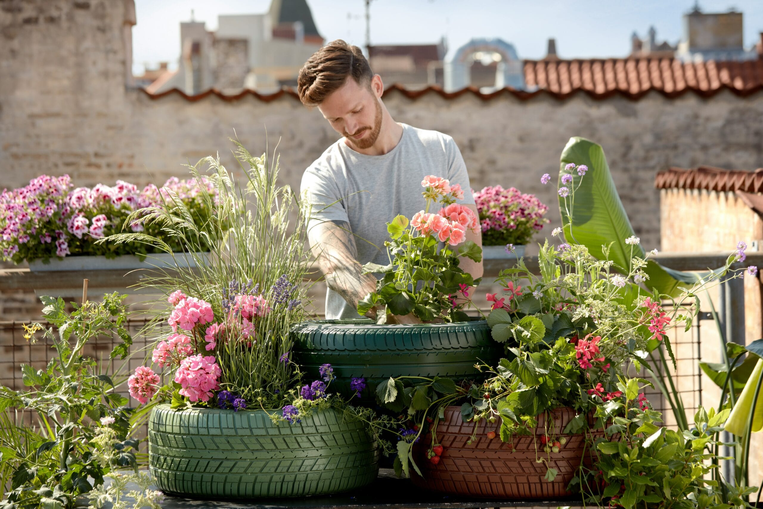 Hoe Lang Blijven Pesticiden Op Tuinplanten Zitten?