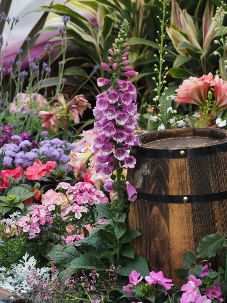 Inheemse Planten In Je Tuin: Is Dat Echt Beter?