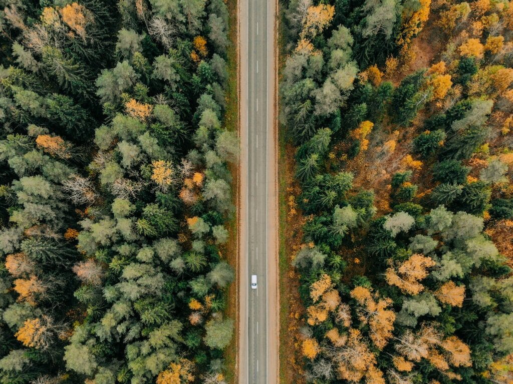 Pexels Maksgelatin 9871878