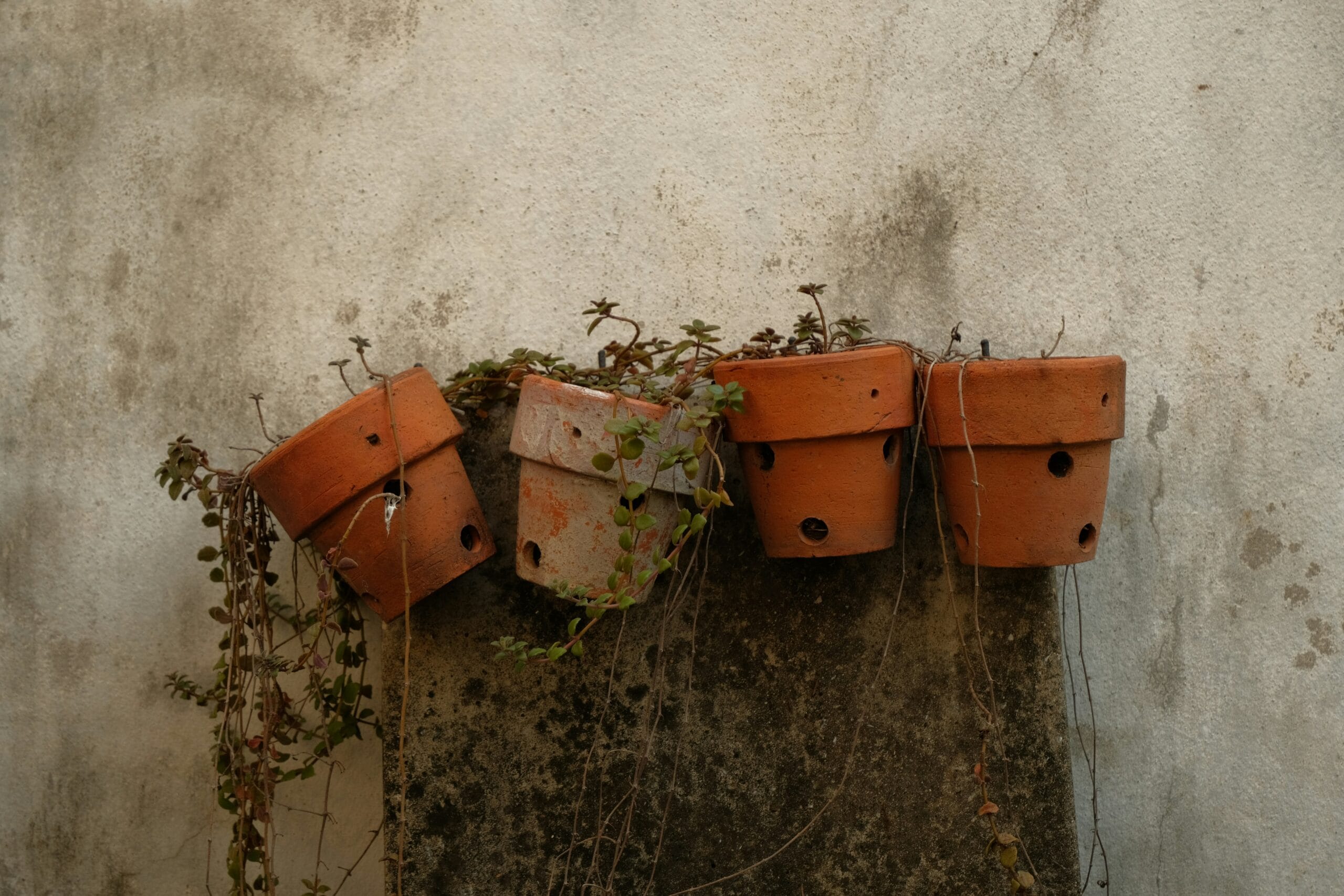 Duurzame Bloempotten