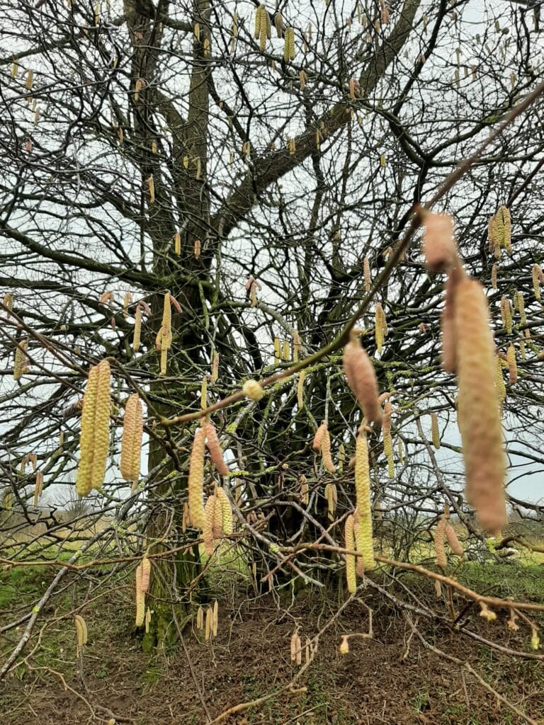 Anna haalt een maand lang al haar eten uit de natuur: van vlees tot eieren en planten tot zeezout 7 Anna Luijten Haalt Al Haar Eten Uit De Natuur: Van Vlees Tot Eieren Tot Planten Tot Zeezout