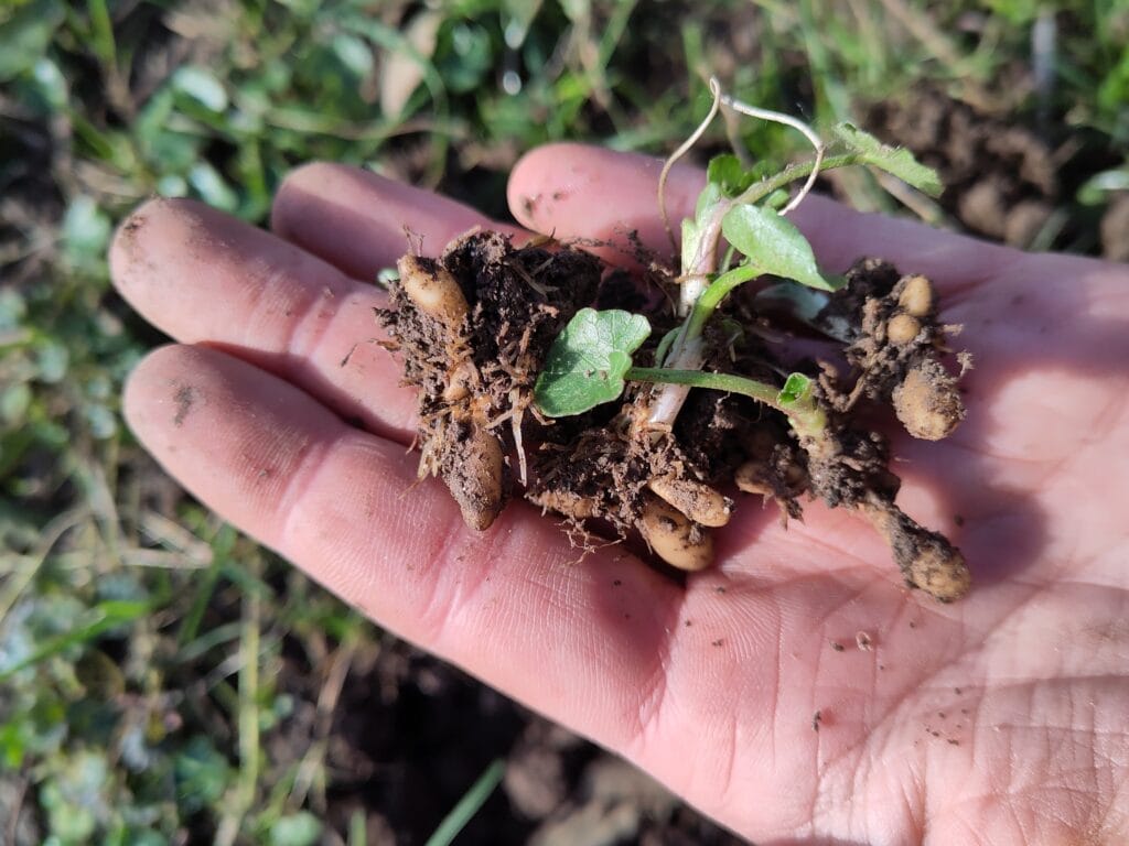 Anna haalt een maand lang al haar eten uit de natuur: van vlees tot eieren en planten tot zeezout 4 Anna Luijten Haalt Al Haar Eten Uit De Natuur: Van Vlees Tot Eieren Tot Planten Tot Zeezout