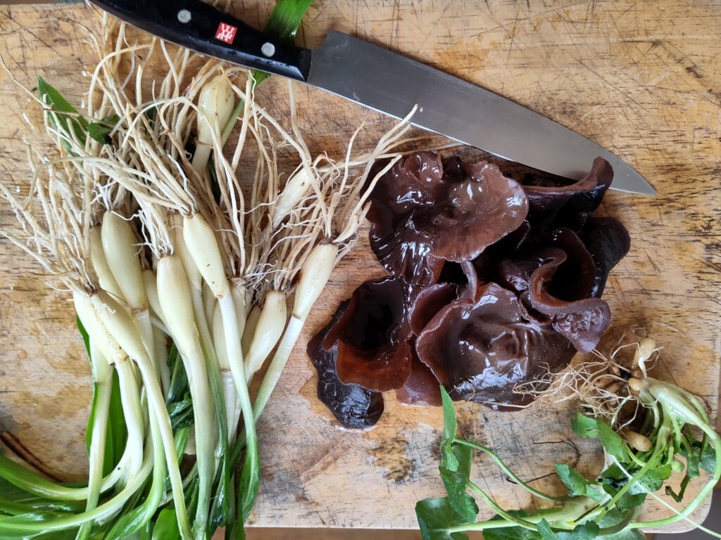 Anna haalt een maand lang al haar eten uit de natuur: van vlees tot eieren en planten tot zeezout 5 Anna Luijten Haalt Al Haar Eten Uit De Natuur: Van Vlees Tot Eieren Tot Planten Tot Zeezout