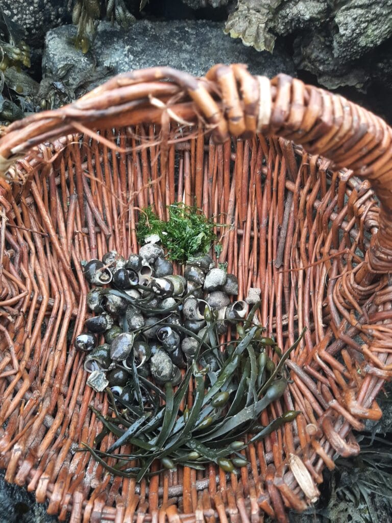 Anna haalt een maand lang al haar eten uit de natuur: van vlees tot eieren en planten tot zeezout 3 Anna Luijten Haalt Al Haar Eten Uit De Natuur: Van Vlees Tot Eieren Tot Planten Tot Zeezout