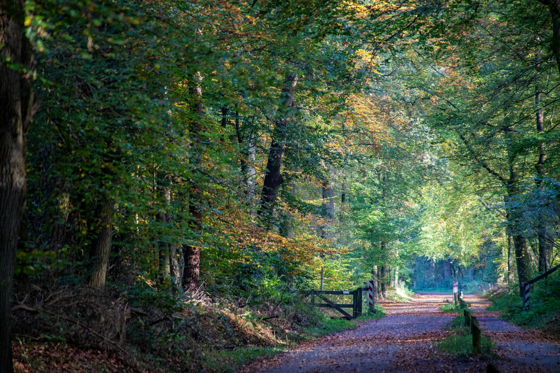 Nationale Parken