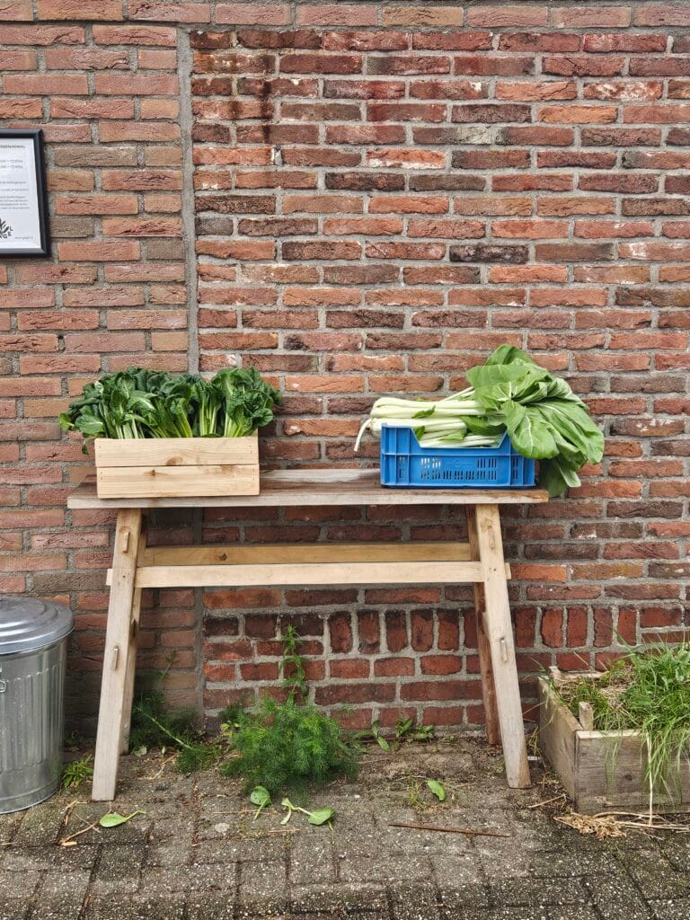 Kamperen Op Regeneratieve Boerderij Lenteland