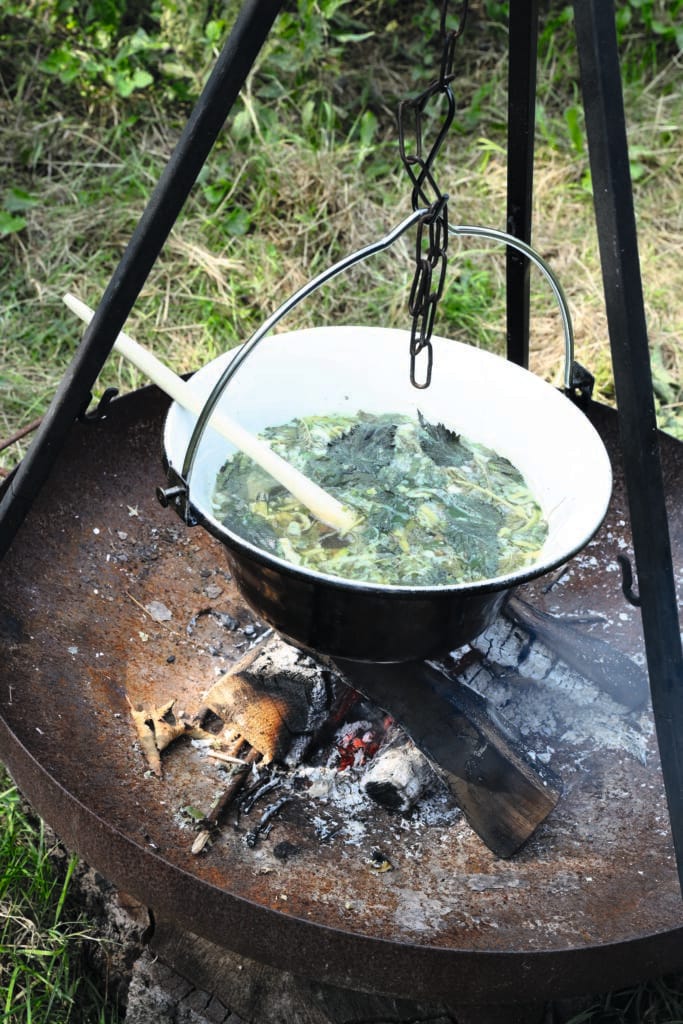 Wildplukken Met Leoniek Bontje