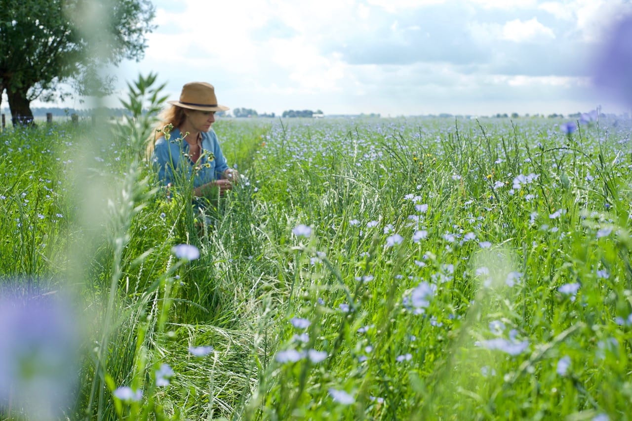 Wildplukken Met Leoniek Bontje