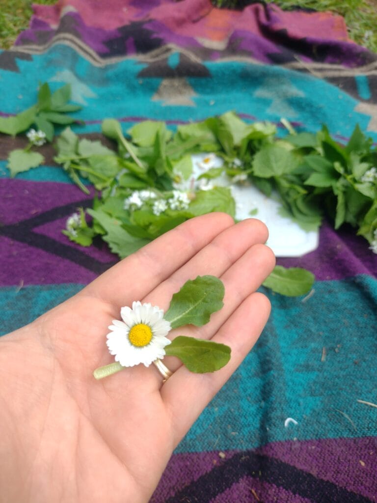 10 Laagdrempelige Tips Om Écht Verbinding Te Maken Met De Natuur