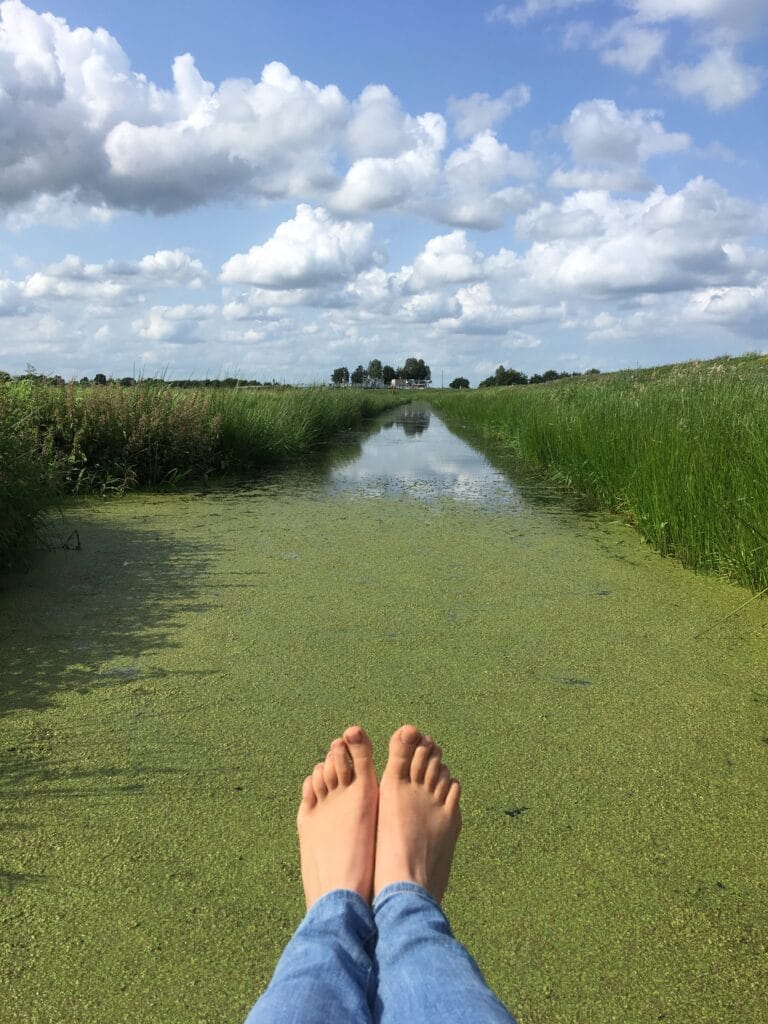 10 Laagdrempelige Tips Om Écht Verbinding Te Maken Met De Natuur