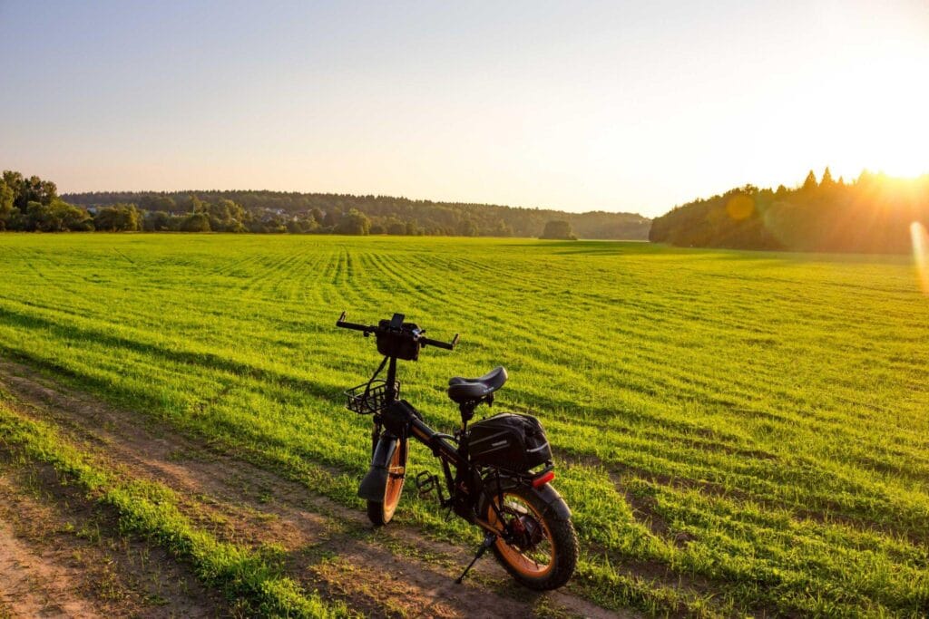 Fatbikes, e-steps en bakfietsen: duurzaam vervoer of gevaar op de weg? 4 Gofatbike.nl