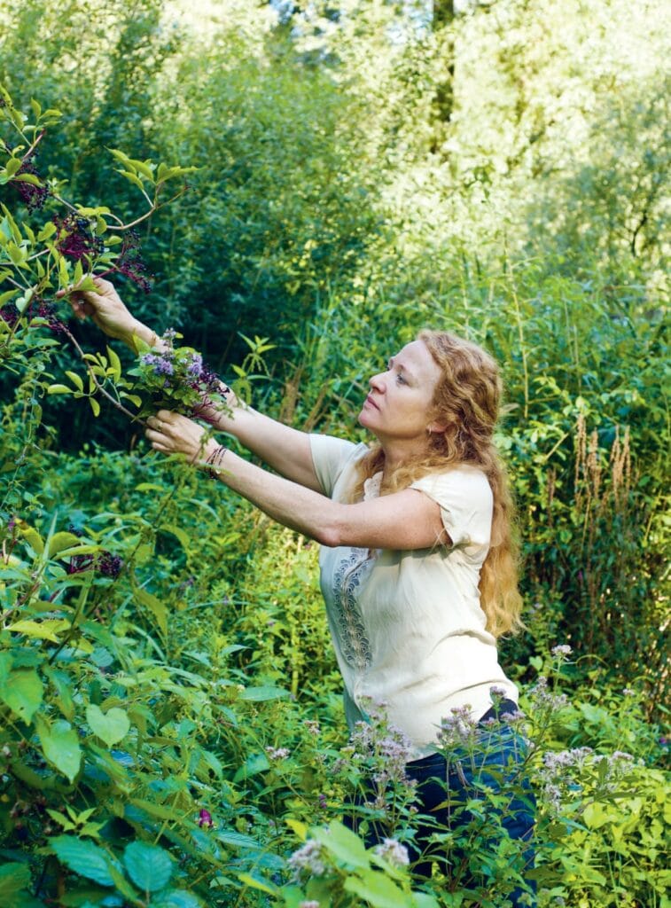 Wildplukken Met Leoniek Bontje