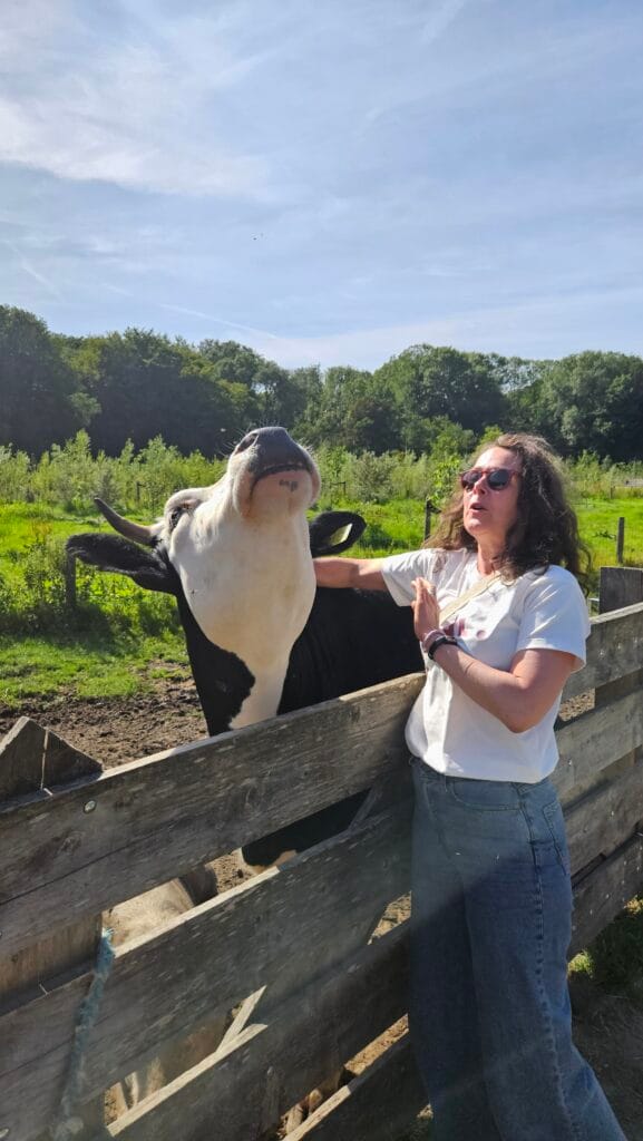 Koeientaal: Dit Is Hoe Een Koe Je Begroet