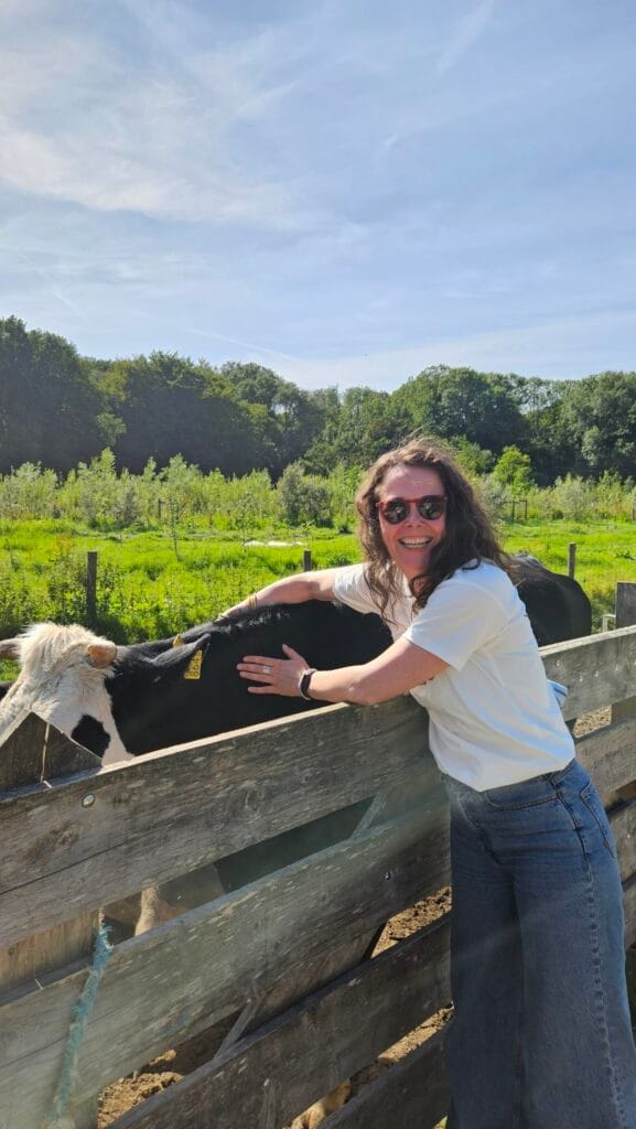 Koeientaal: Dit Is Hoe Een Koe Je Begroet