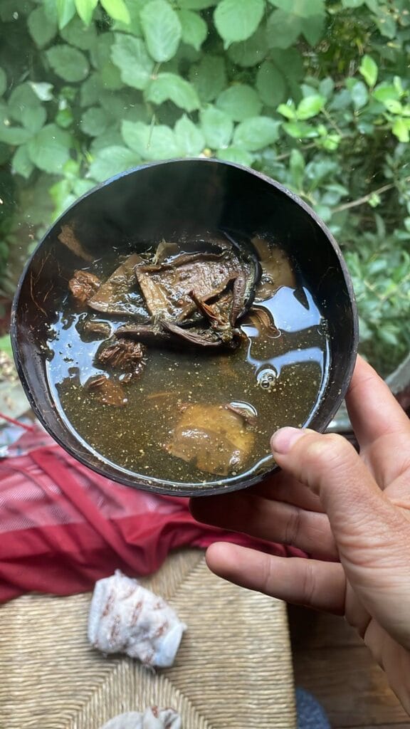 Kunnen We Nog Wel Wildplukken Met Al Die Pfas In De Grond?