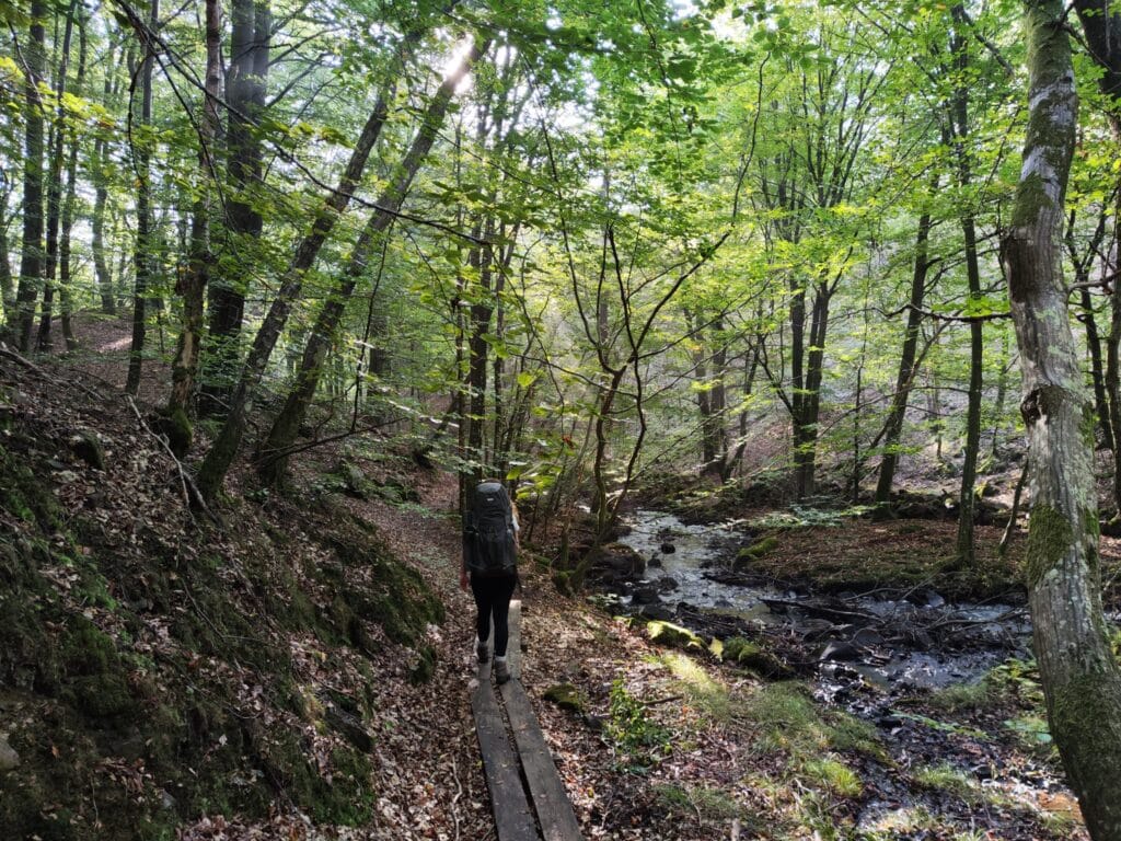 Groene Heuveltoppen, Verlaten Witte Stranden, Kleine Vissersdorpjes En Glooiende (Koolzaad)Velden Afgewisseld Met Kleine Bossen En Heldere Meertjes.