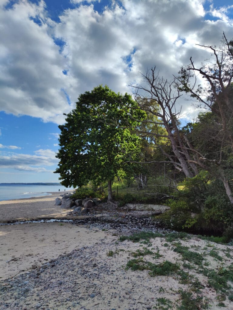 Groene Heuveltoppen, Verlaten Witte Stranden, Kleine Vissersdorpjes En Glooiende (Koolzaad)Velden Afgewisseld Met Kleine Bossen En Heldere Meertjes.
