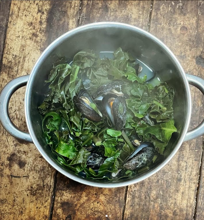 Kunnen We Nog Wel Wildplukken Met Al Die Pfas In De Grond? 