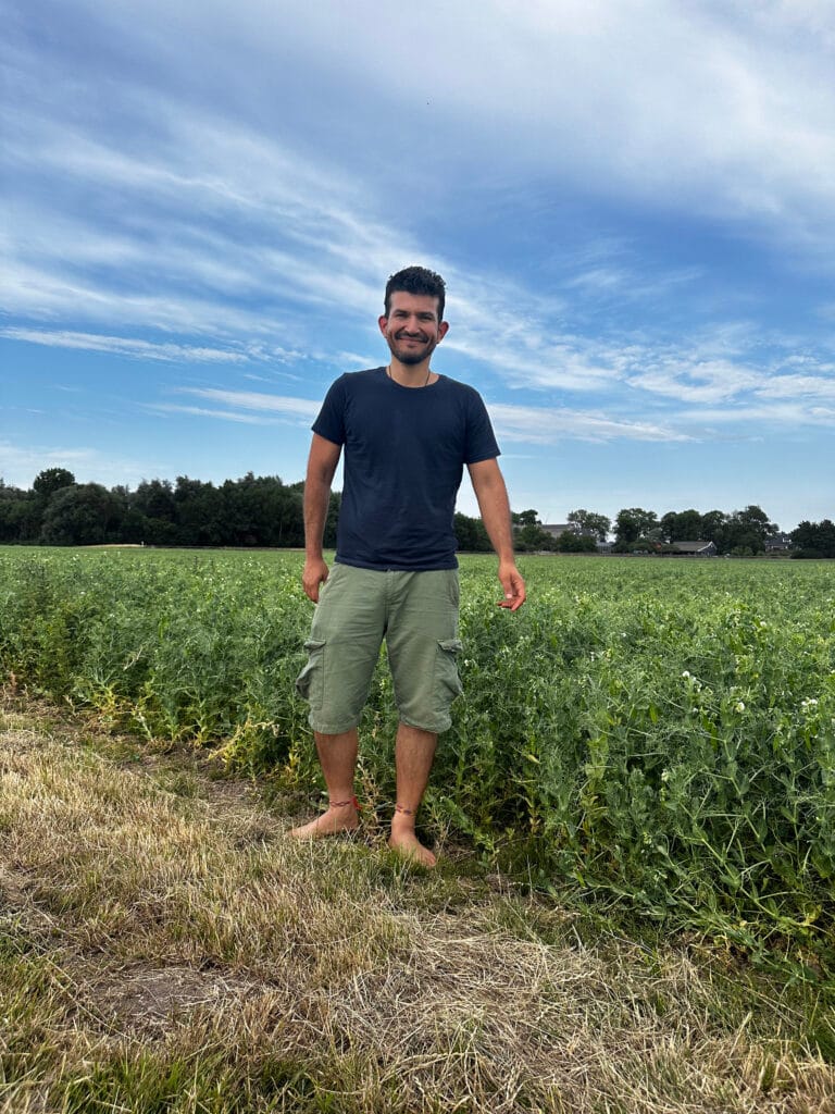 Dit Is Het Duurzame, Oer-Hollandse Alternatief Voor Avocado: Favamole