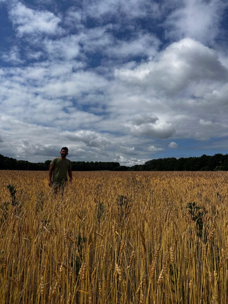 Dit Is Het Duurzame, Oer-Hollandse Alternatief Voor Avocado: Favamole