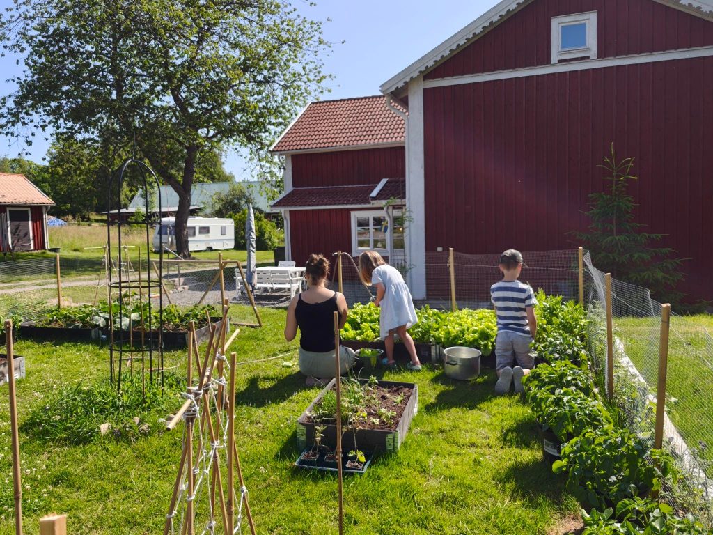 Waarom steeds meer Nederlanders hun koffers pakken en emigreren naar Zweden – 3 persoonlijke verhalen 9 Waarom Steeds Meer Nederlanders Hun Koffers Pakken En Emigreren Naar Zweden – 3 Persoonlijke Verhalen