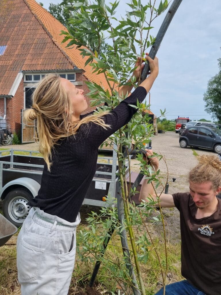 Ecodorp De Bloeiplaets In Friesland Zoekt Bewoners