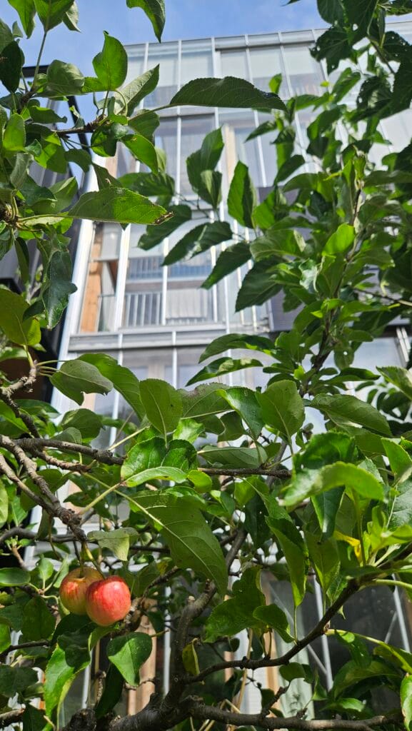 Zelfbouw Kaswoning Met 0 Op De Meter In Amsterdam