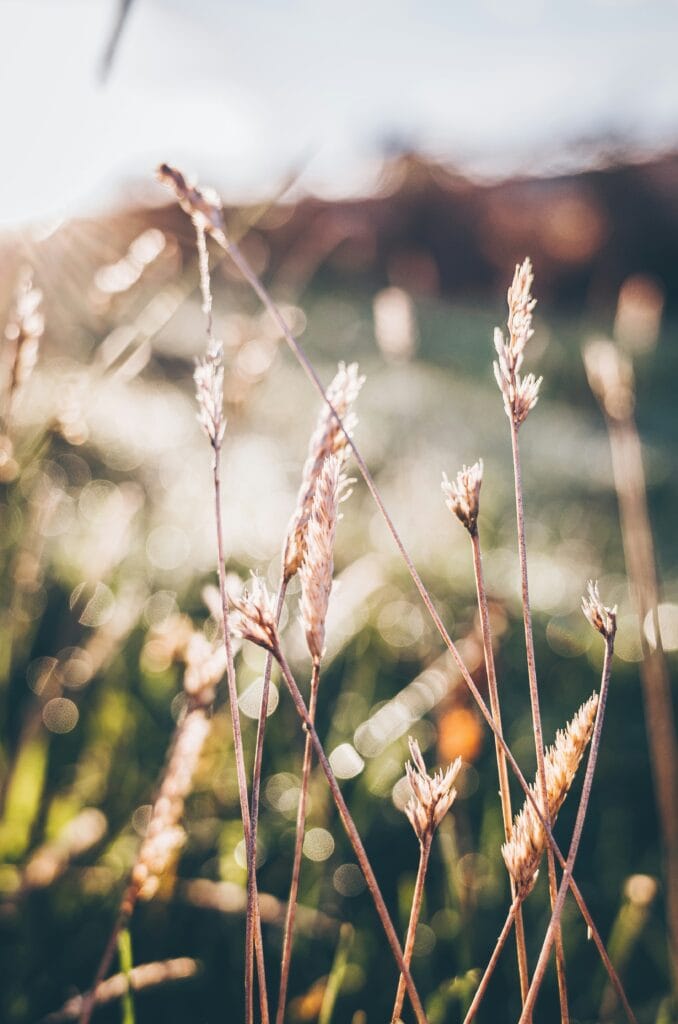 Slow Living: 5 Voordelen En Praktische Tips Voor Een Rustiger Leven