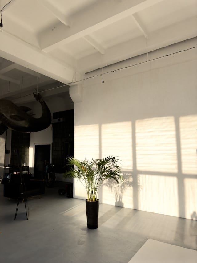 Pexels Driscay 33175949